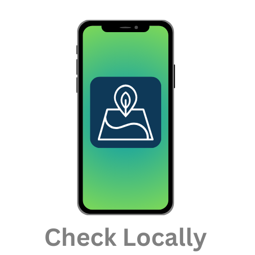 Check Locally